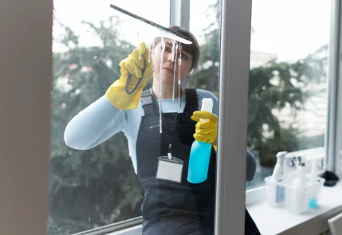 Nettoyage de vitres intérieures et extérieures à Saint-Gérand-Croixanvec